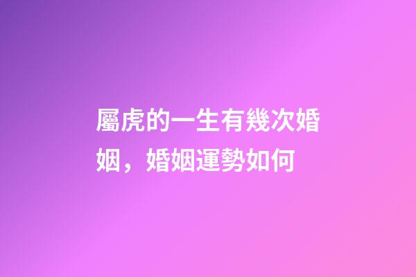 屬虎的一生有幾次婚姻，婚姻運勢如何
