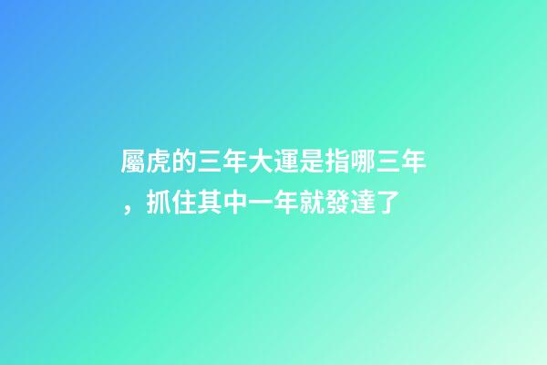 屬虎的三年大運是指哪三年，抓住其中一年就發達了