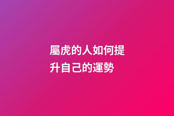 屬虎的人如何提升自己的運勢