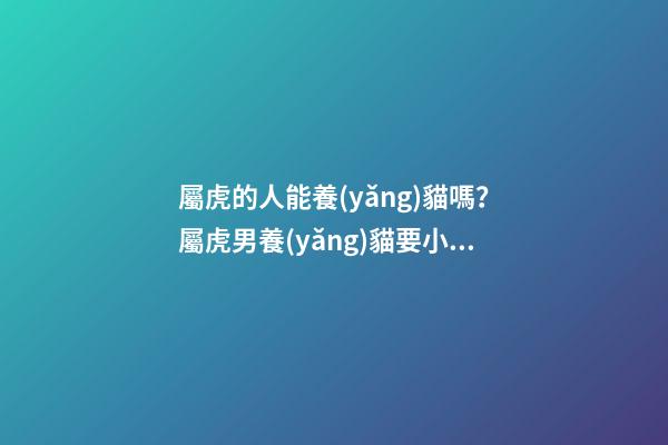 屬虎的人能養(yǎng)貓嗎？屬虎男養(yǎng)貓要小心