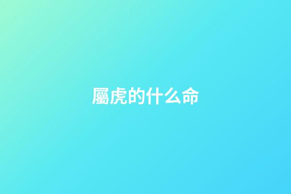 屬虎的什么命
