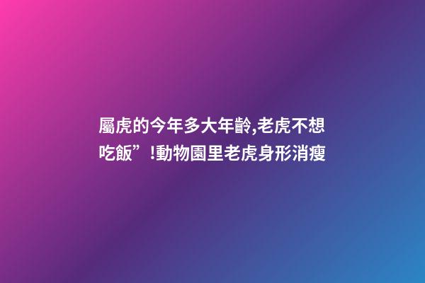 屬虎的今年多大年齡,老虎不想吃飯”!動物園里老虎身形消瘦-第1張-觀點-玄機派