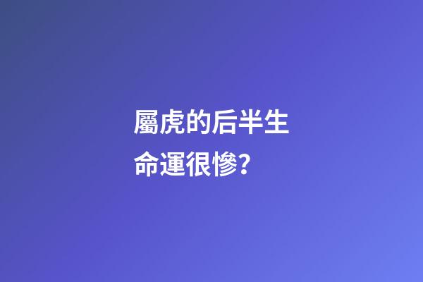 屬虎的后半生命運很慘？