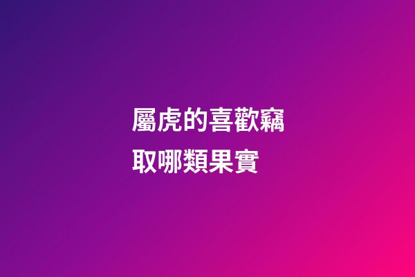 屬虎的喜歡竊取哪類果實