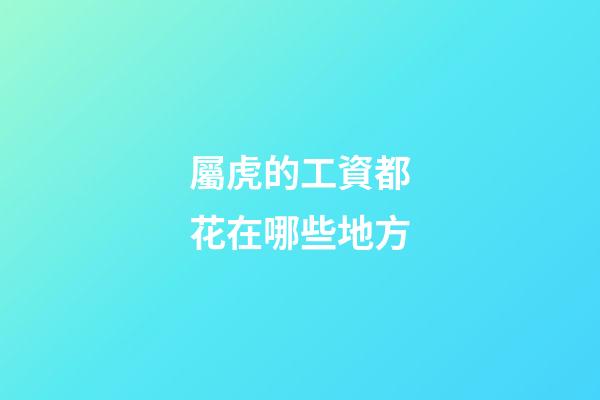 屬虎的工資都花在哪些地方
