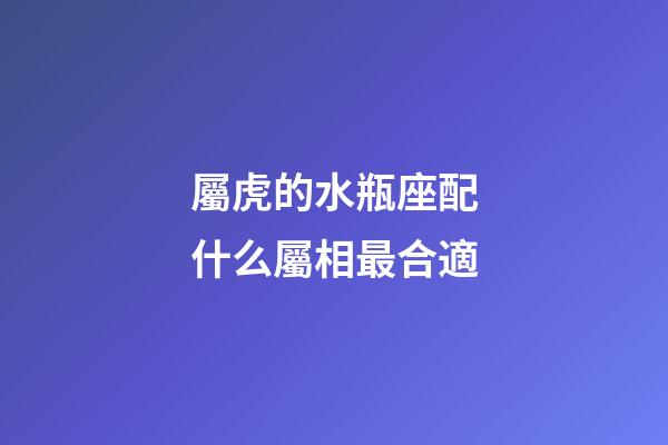 屬虎的水瓶座配什么屬相最合適-第1張-星座運勢-玄機派