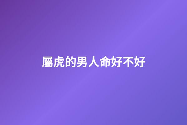 屬虎的男人命好不好