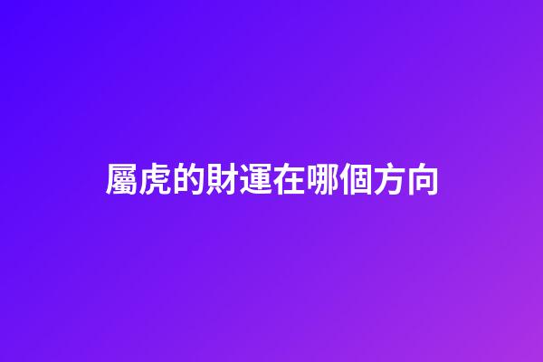屬虎的財運在哪個方向