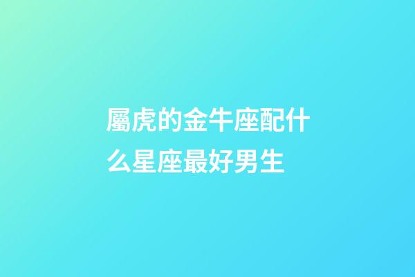 屬虎的金牛座配什么星座最好男生-第1張-星座運勢-玄機派