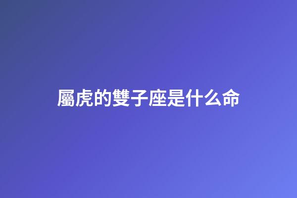 屬虎的雙子座是什么命-第1張-星座運勢-玄機派