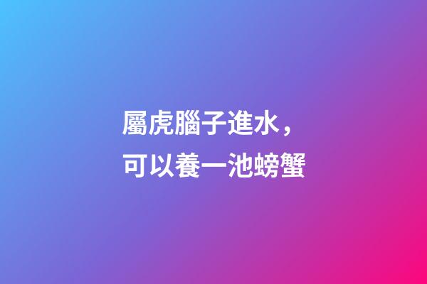 屬虎腦子進水，可以養一池螃蟹