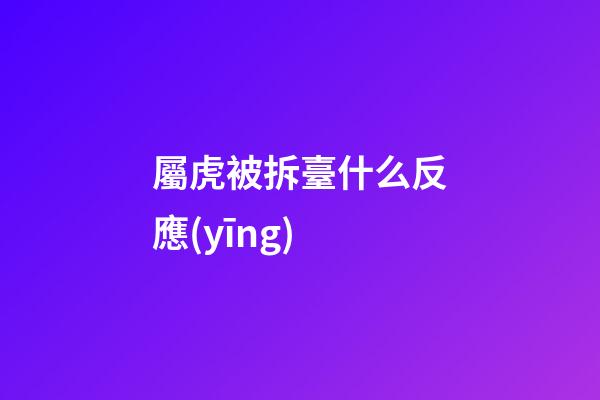 屬虎被拆臺什么反應(yīng)