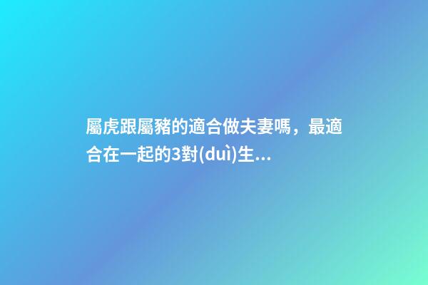 屬虎跟屬豬的適合做夫妻嗎，最適合在一起的3對(duì)生肖夫妻-第1張-觀點(diǎn)-玄機(jī)派