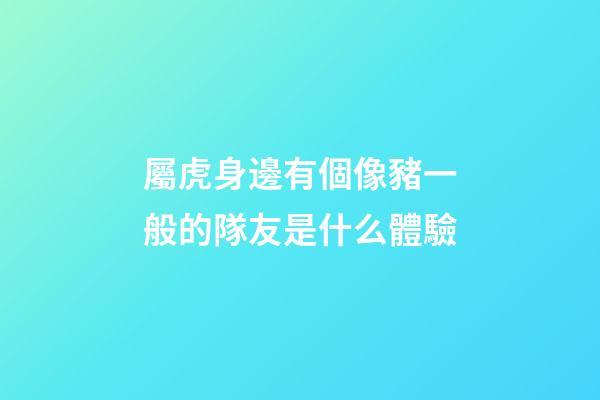 屬虎身邊有個像豬一般的隊友是什么體驗