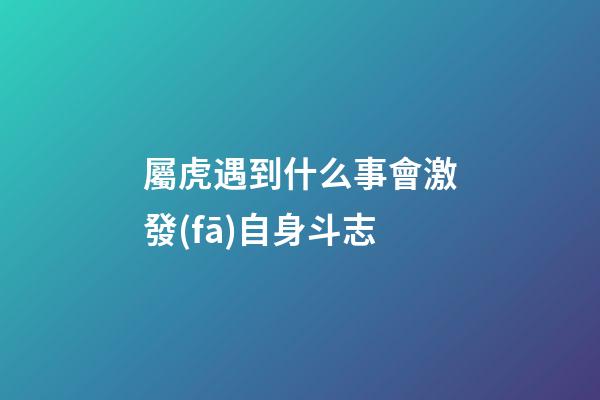 屬虎遇到什么事會激發(fā)自身斗志