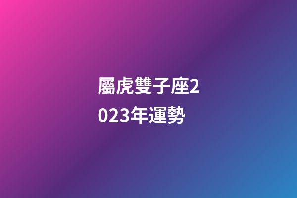 屬虎雙子座2023年運勢-第1張-星座運勢-玄機派