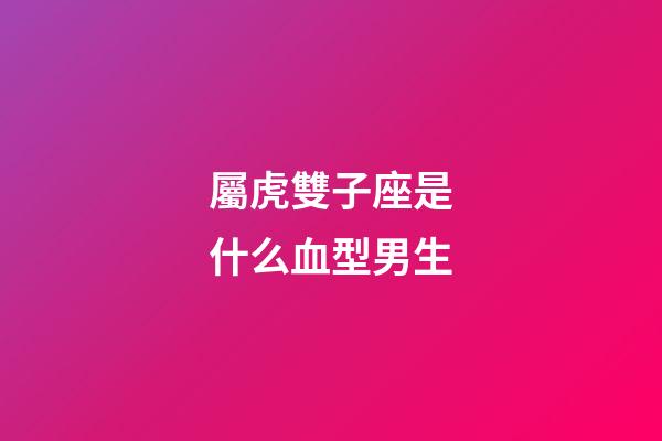 屬虎雙子座是什么血型男生-第1張-星座運勢-玄機派