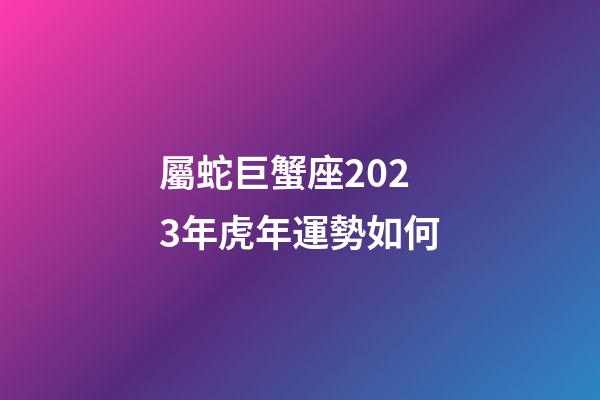 屬蛇巨蟹座2023年虎年運勢如何