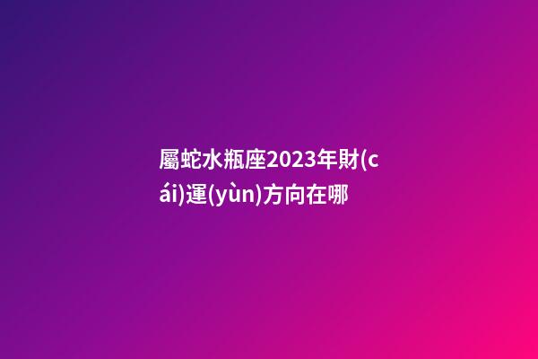 屬蛇水瓶座2023年財(cái)運(yùn)方向在哪