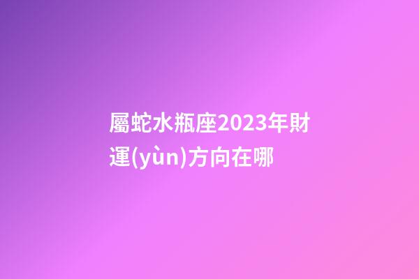 屬蛇水瓶座2023年財運(yùn)方向在哪