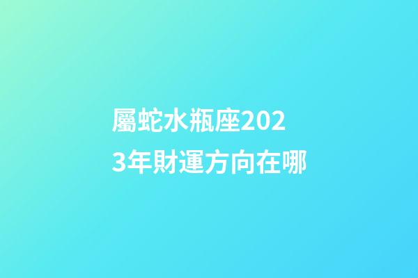 屬蛇水瓶座2023年財運方向在哪