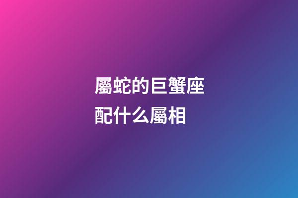 屬蛇的巨蟹座配什么屬相-第1張-星座運勢-玄機派