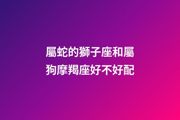 屬蛇的獅子座和屬狗摩羯座好不好配-第1張-星座運勢-玄機派