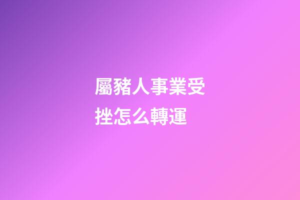 屬豬人事業受挫怎么轉運
