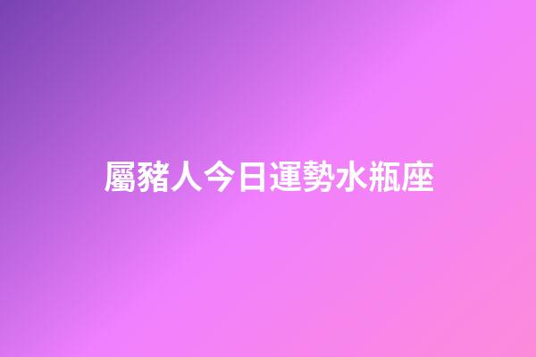 屬豬人今日運勢水瓶座-第1張-星座運勢-玄機派