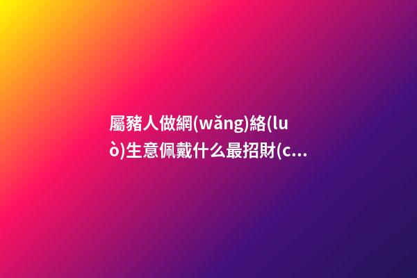 屬豬人做網(wǎng)絡(luò)生意佩戴什么最招財(cái)