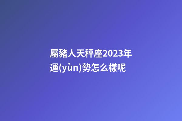 屬豬人天秤座2023年運(yùn)勢怎么樣呢-第1張-星座運(yùn)勢-玄機(jī)派