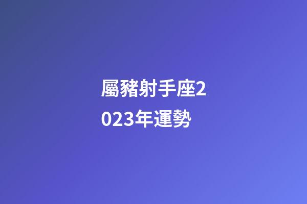 屬豬射手座2023年運勢-第1張-星座運勢-玄機派