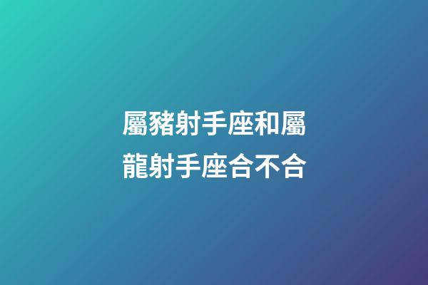 屬豬射手座和屬龍射手座合不合-第1張-星座運(yùn)勢-玄機(jī)派