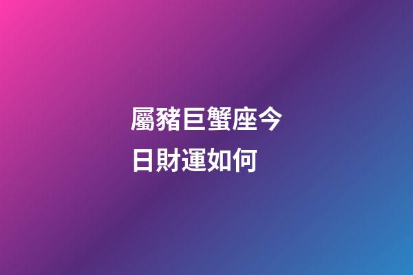 屬豬巨蟹座今日財運如何-第1張-星座運勢-玄機派