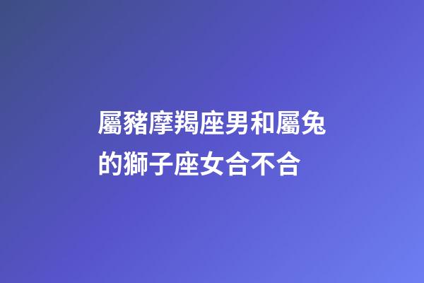 屬豬摩羯座男和屬兔的獅子座女合不合