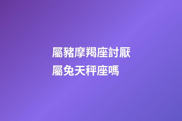 屬豬摩羯座討厭屬兔天秤座嗎-第1張-星座運勢-玄機派