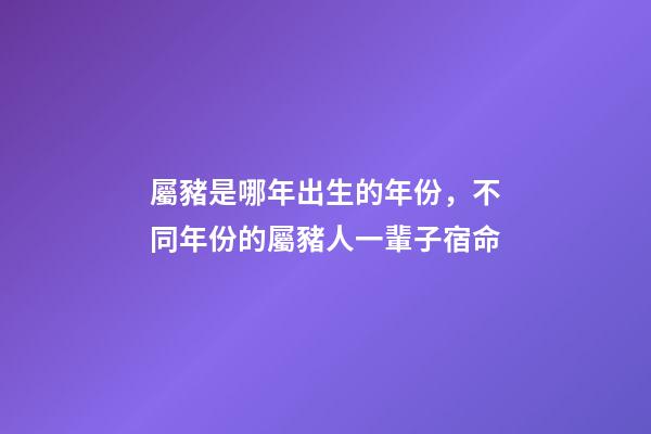 屬豬是哪年出生的年份，不同年份的屬豬人一輩子宿命