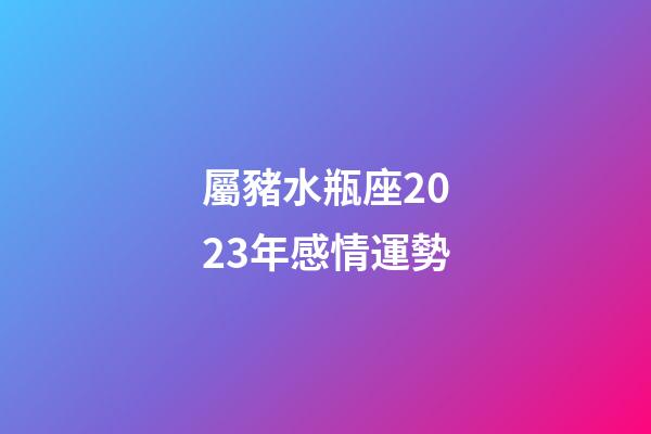 屬豬水瓶座2023年感情運勢-第1張-星座運勢-玄機派