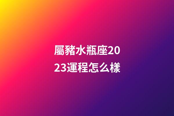 屬豬水瓶座2023運程怎么樣-第1張-星座運勢-玄機派