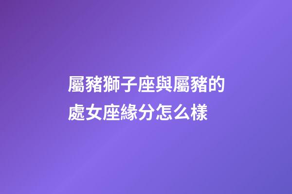 屬豬獅子座與屬豬的處女座緣分怎么樣-第1張-星座運勢-玄機派