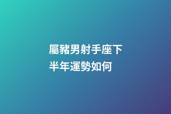 屬豬男射手座下半年運勢如何-第1張-星座運勢-玄機派