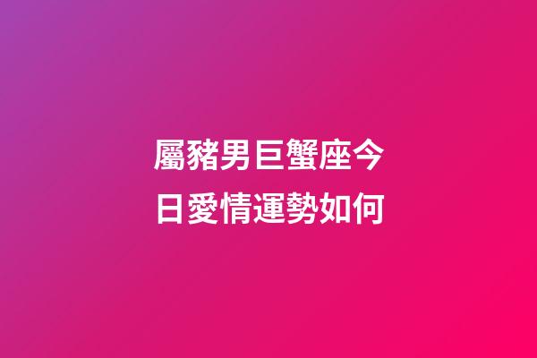 屬豬男巨蟹座今日愛情運勢如何-第1張-星座運勢-玄機派