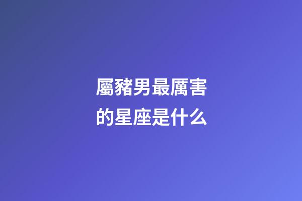 屬豬男最厲害的星座是什么