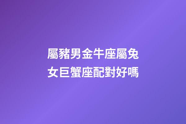 屬豬男金牛座屬兔女巨蟹座配對好嗎-第1張-星座運勢-玄機派