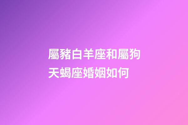 屬豬白羊座和屬狗天蝎座婚姻如何-第1張-星座運(yùn)勢(shì)-玄機(jī)派