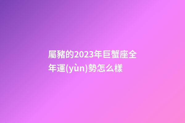 屬豬的2023年巨蟹座全年運(yùn)勢怎么樣-第1張-星座運(yùn)勢-玄機(jī)派