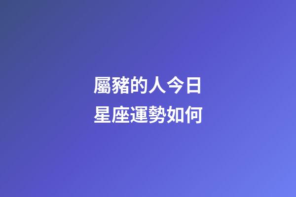 屬豬的人今日星座運勢如何-第1張-星座運勢-玄機派