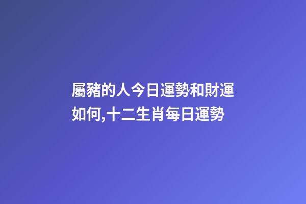 屬豬的人今日運勢和財運如何,十二生肖每日運勢-第1張-觀點-玄機派