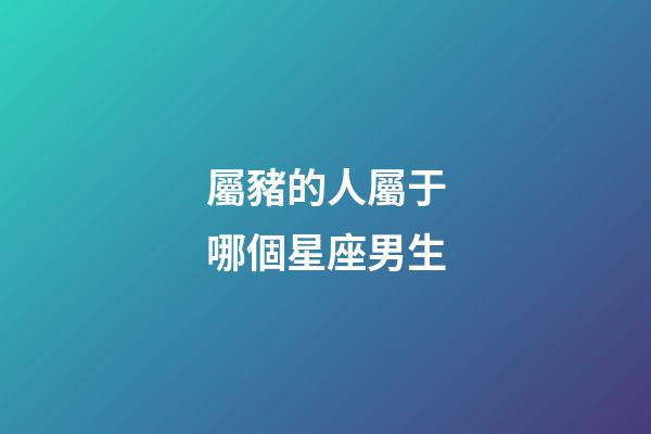 屬豬的人屬于哪個星座男生-第1張-星座運勢-玄機派