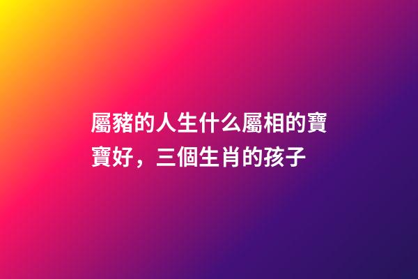 屬豬的人生什么屬相的寶寶好，三個生肖的孩子